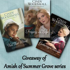 Giveaway of Amish of Summer Grove series