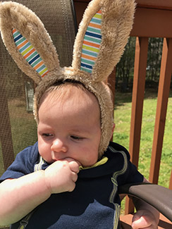 Silas' Bunny Ears